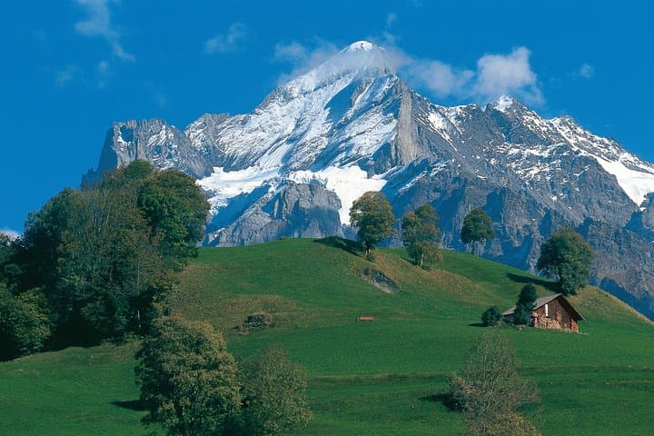 Zurich to Grindelwald & Interlaken Day Trip — Bernese Oberland Alpine Views photo 6