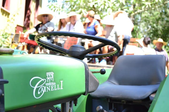 Grape Harvest & Pisa Experience in Bento Gonçalves — Private Wine Tour photo 3