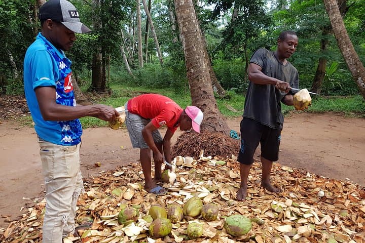 Zanzibar Spice & Stone Town Walking Tour: Spice Gardens, History & Culture photo 4
