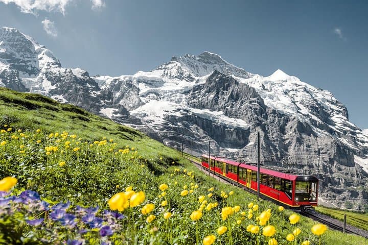 Jungfraujoch Top of Europe Day Trip from Zurich photo 3