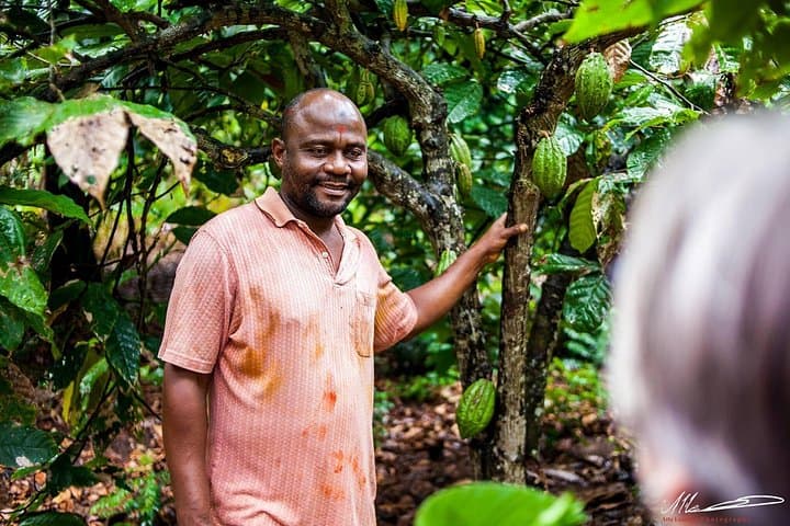 Zanzibar Fruits & Spices Adventure: Spice Farm Walk, Tastes & Lunch photo 2