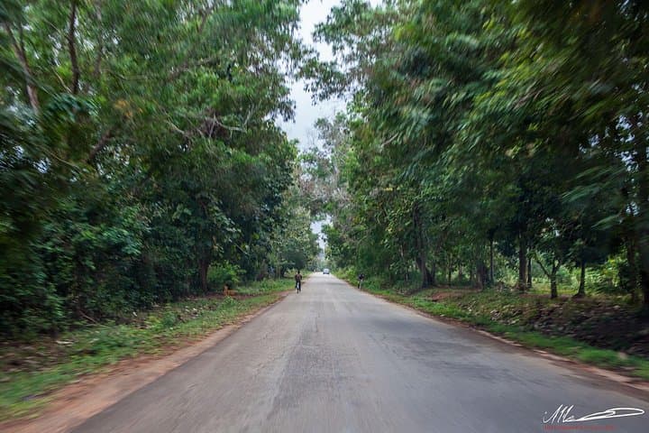 Zanzibar Fruits & Spices Adventure: Spice Farm Walk, Tastes & Lunch photo 3