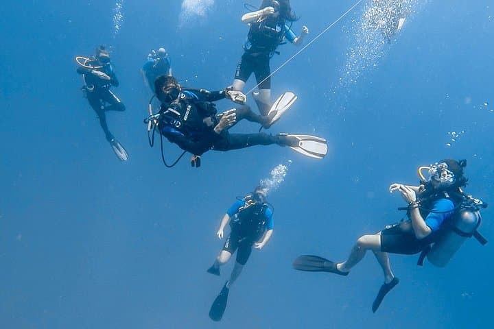 Advanced Open Water Certification: 5‑Dive Catalina Islands Course from Tamarindo