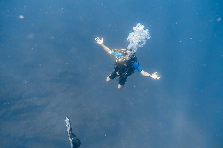 Advanced Open Water Certification: 5‑Dive Catalina Islands Course from Tamarindo photo 2