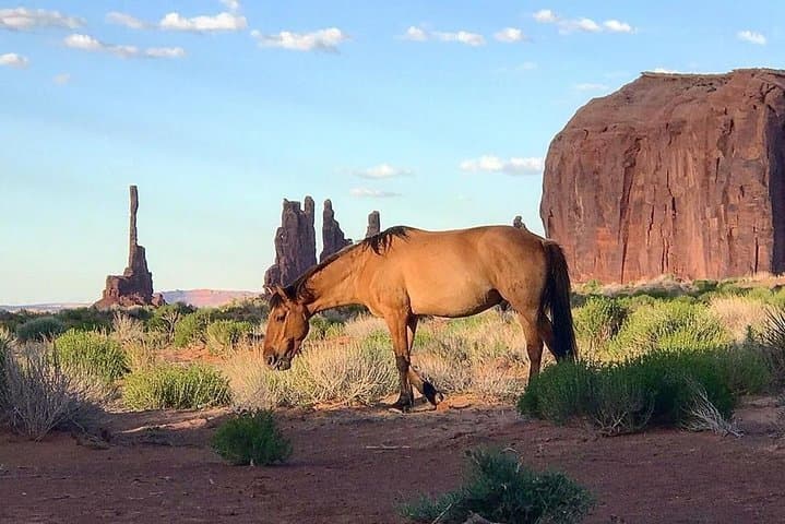Exploring Monument Valley: A 3-Hour Navajo Spirit Group Tour Experience photo 4