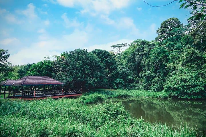 Explore FRIM: Rainforest Walks, Arboretum & Bamboo Gardens Near Kuala Lumpur photo 5