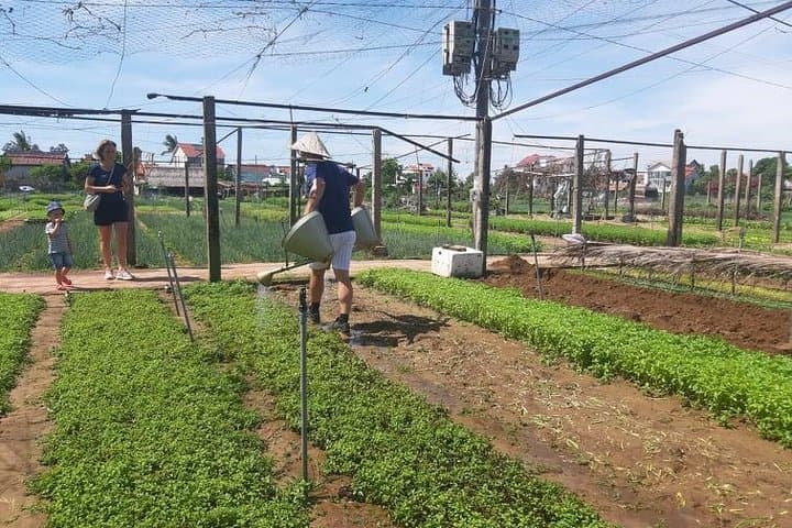 Tra Que Vegetable Village Cooking Class — Hoi An Farm-to-Table Experience
