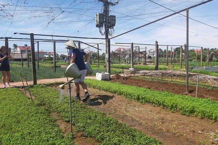 Tra Que Vegetable Village Cooking Class — Hoi An Farm-to-Table Experience photo 4