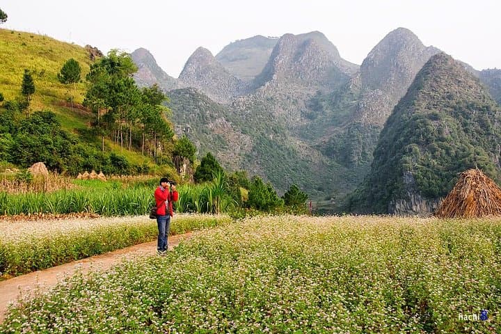 Ha Giang 3-Day Dong Van Loop: Ma Pi Leng Pass & Lung Khuy Cave Adventure photo 4