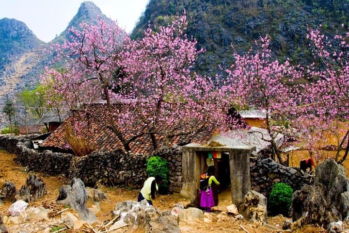 Ha Giang 3-Day Dong Van Loop: Ma Pi Leng Pass & Lung Khuy Cave Adventure photo 5