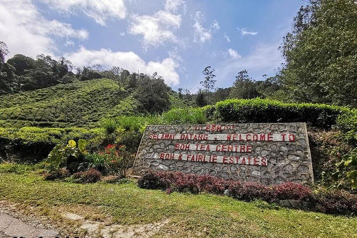 Cameron Highlands & Batu Caves: Full-Day Highlands and Temple Tour from Kuala Lumpur photo 2