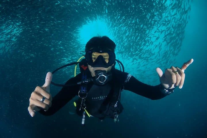 Sail Rock: Koh Samui 2‑Dive Trip to a World‑Class Pinnacle photo 5