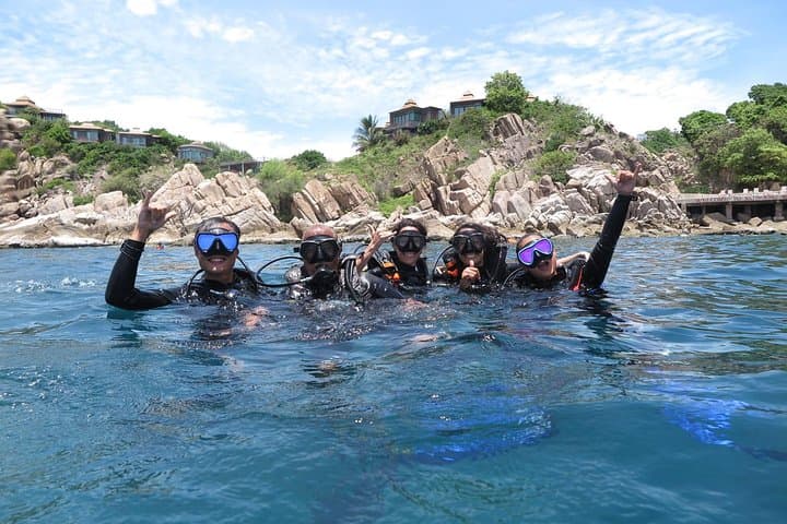 Koh Tao 2-Dive Day Trip from Koh Samui — Speedboat Scuba Adventure photo 3