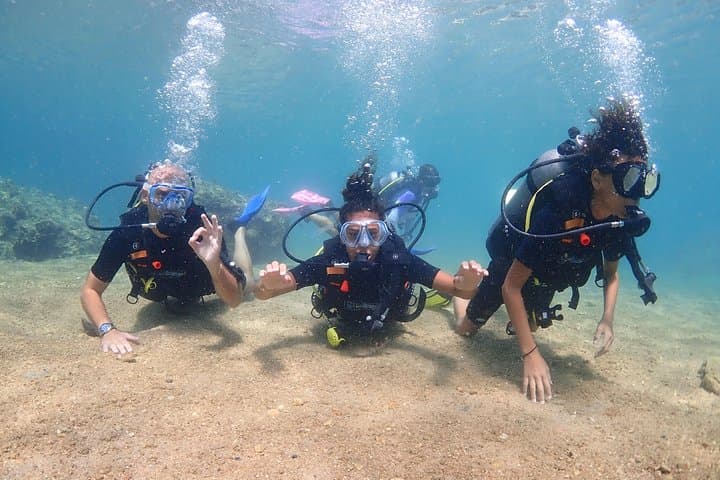 Discover Scuba Diving in Bophut (Koh Samui): PADI Introductory Dives to 12m photo 3