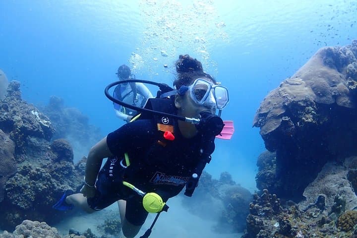 Discover Scuba Diving in Bophut (Koh Samui): PADI Introductory Dives to 12m