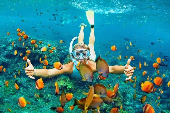 Blue Lagoon Bali Snorkeling: Padangbai’s Best Reefs with Local Guide photo 3