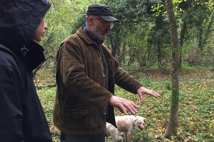 Chianti Truffle Hunt, Horseback Ride & Tuscan Lunch from Florence photo 4