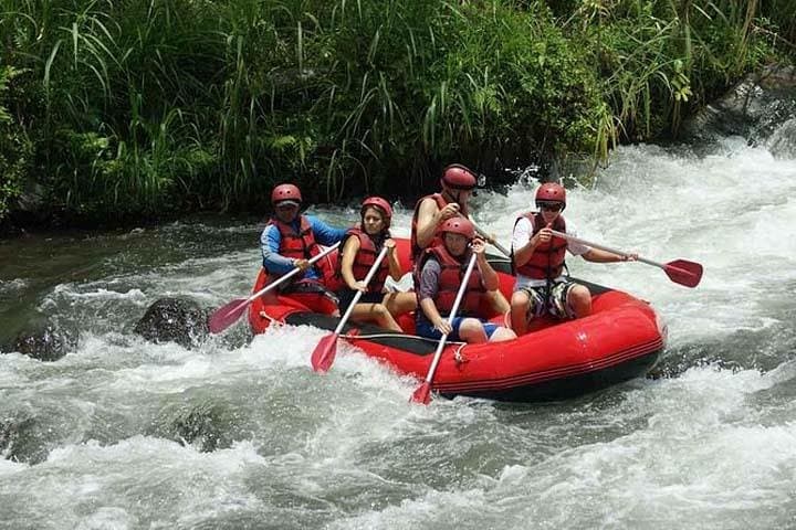 Telagawaja Rafting in Bali: 18km, 3-Hour Rainforest Whitewater Experience photo 3