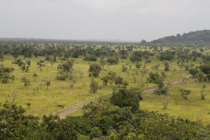 Shai Hills Day Tour — Wildlife, Granite Outcrops & Mogo Cultural View photo 4