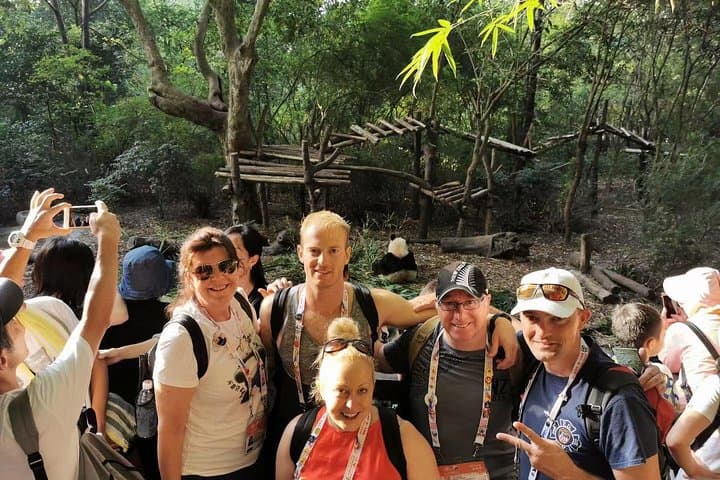 Chengdu Private Day Tour: Panda Base Morning & Leshan Giant Buddha Boat Experience photo 2