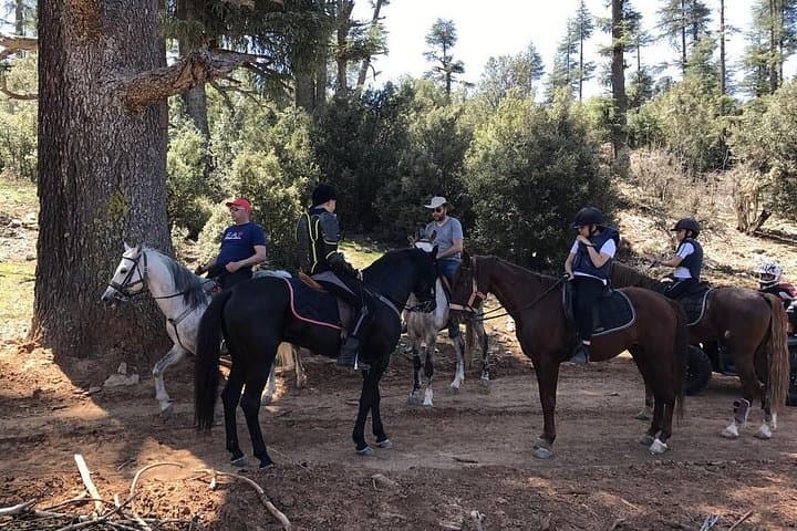 El Ghandouri Trail Ride from Mnar Castle — 2-Hour Tangier Horseback Adventure photo 2
