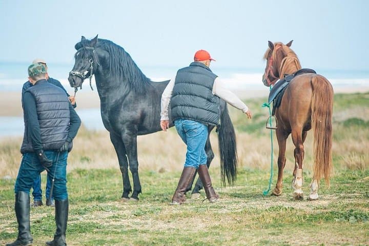 El Ghandouri Trail Ride from Mnar Castle — 2-Hour Tangier Horseback Adventure photo 3