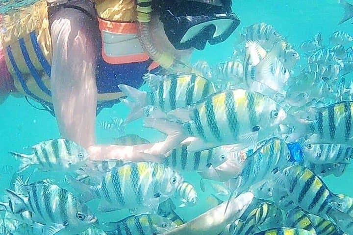 Snorkeling Gili Nanggu: Sekotong Coral Gardens & Island Hopping