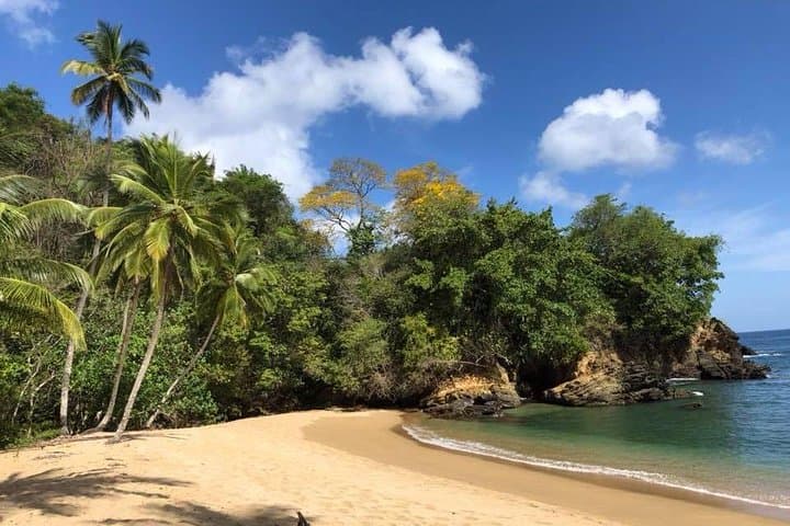 Englishman's Bay Day Trip with Lunch — Beaches of Tobago Snorkel & Swim Excursion photo 3