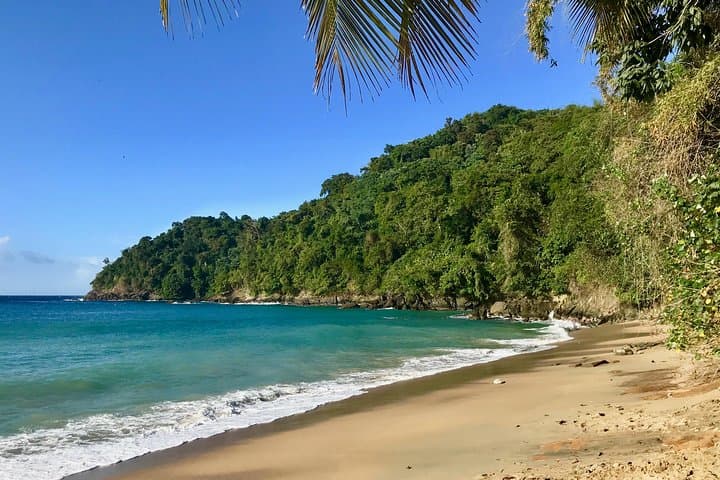 Englishman's Bay Day Trip with Lunch — Beaches of Tobago Snorkel & Swim Excursion photo 4