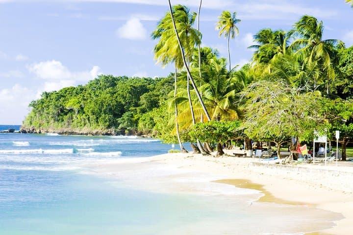 Englishman's Bay Day Trip with Lunch — Beaches of Tobago Snorkel & Swim Excursion photo 5