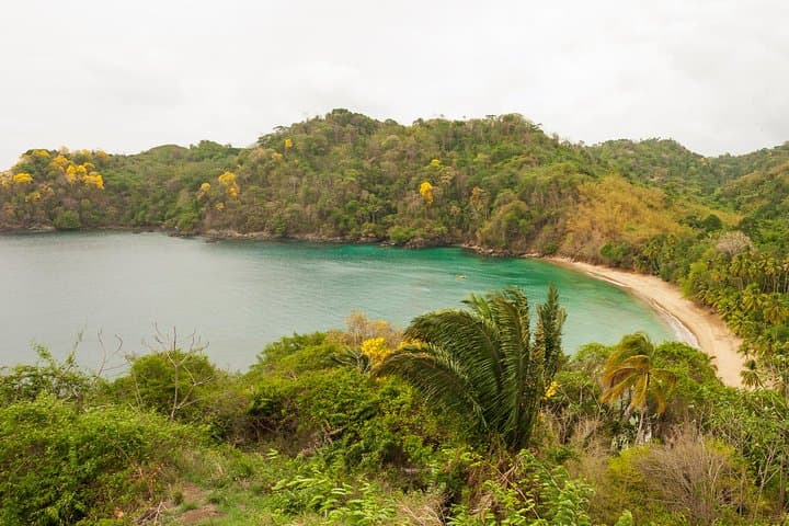 Englishman's Bay Day Trip with Lunch — Beaches of Tobago Snorkel & Swim Excursion photo 6