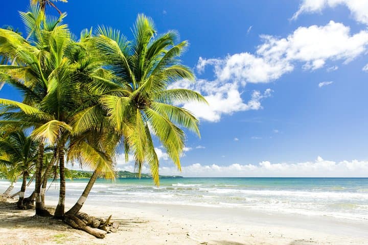 Englishman's Bay Day Trip with Lunch — Beaches of Tobago Snorkel & Swim Excursion