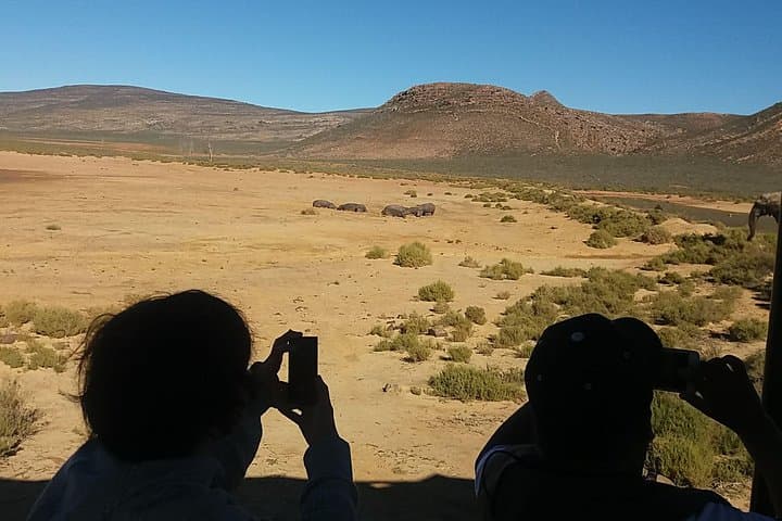 Aquila Big Five Full-Day Safari from Cape Town — Game Drive, Breakfast & Lunch photo 4