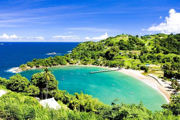 Parlatuvier Bay Day Trip: Snorkel, Swim and Lunch on Tobago's North Coast