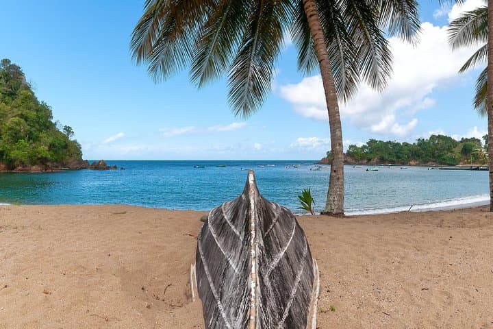 Parlatuvier Bay Day Trip: Snorkel, Swim and Lunch on Tobago's North Coast photo 3
