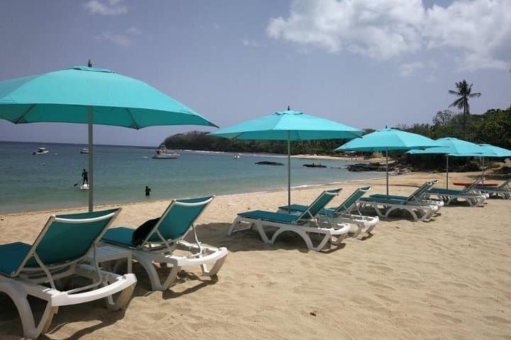 Mount Irvine Bay Day Trip with Lunch: Snorkel, Surf & Family Beach in Tobago photo 2