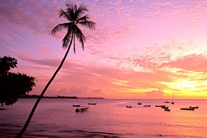 Mount Irvine Bay Day Trip with Lunch: Snorkel, Surf & Family Beach in Tobago photo 1