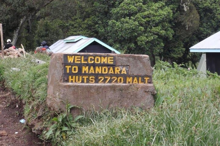Kilimanjaro Day Hike to Mandara Hut from Moshi — Rainforest Trek & Views