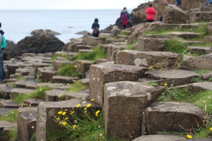 From Belfast to Giant's Causeway: Game of Thrones Filming Locations Day Tour photo 4