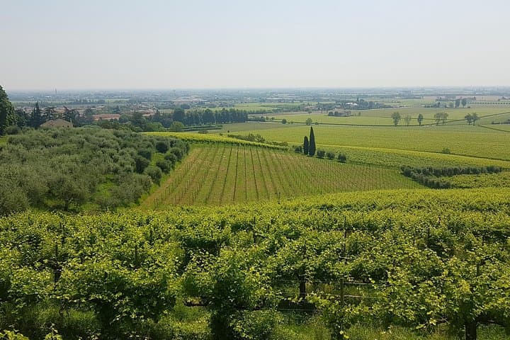 Pedal Through UNESCO: Bike Tour of Castles & Prosecco Hills of Conegliano photo 4