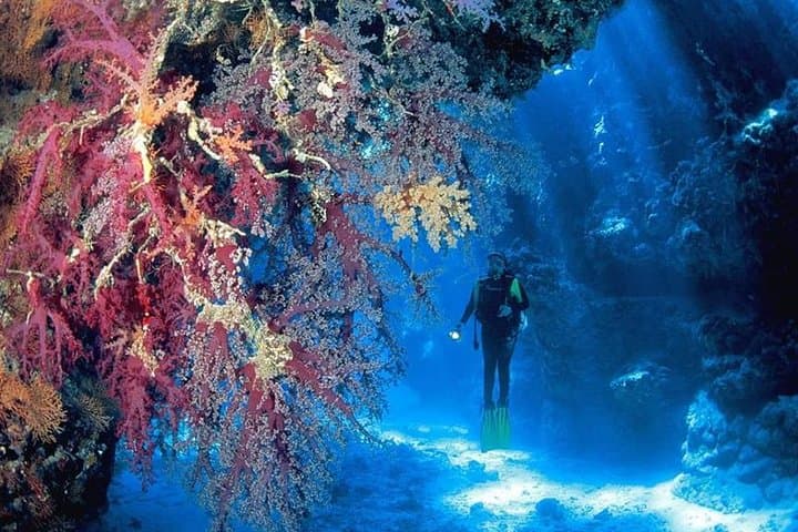 Mahmya Island Snorkeling Trip from Hurghada — Day Cruise to Giftun National Park photo 2