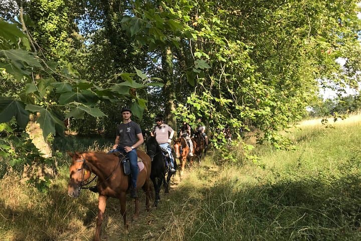 Horse & Pony 1-Hour Guided Ride at Domaine du Roiffe Near Lyon photo 1