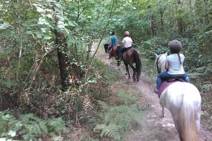 Half‑Hour Pony Ride in Lyon: Gentle Family Horse Experience for Kids photo 1