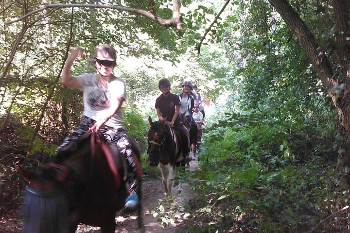 Half‑Hour Pony Ride in Lyon: Gentle Family Horse Experience for Kids photo 2