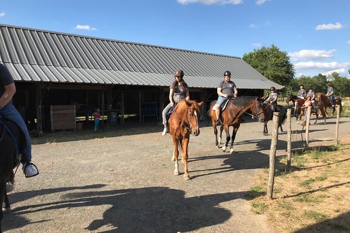Half-Day Riding Course Near Lyon — Lessons, Trails & Gallop Prep photo 3