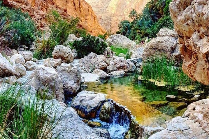 Wadi Shab and Bimmah Sinkhole: Full-Day Canyon and Coast Adventure from Muscat photo 2