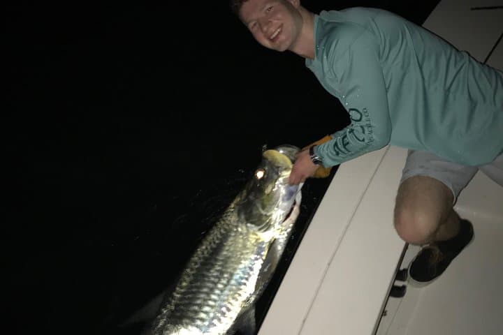 Fort Lauderdale Inshore Sport Fishing: Tarpon, Snook & Urban Intracoastal Guided Trips photo 3