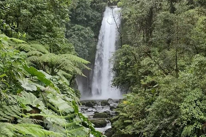 Poás Volcano, La Paz Waterfall & Coffee Tour — Full-Day Combo from San José photo 2
