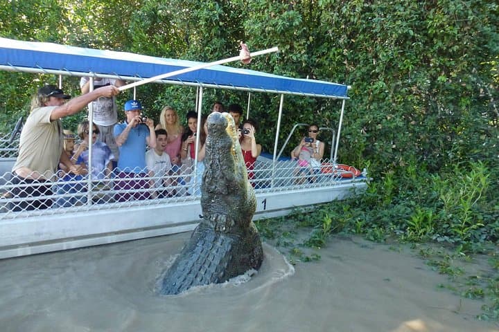 Adelaide River Jumping Crocodile Cruise — Darwin's Top Wild Croc Boat Tour