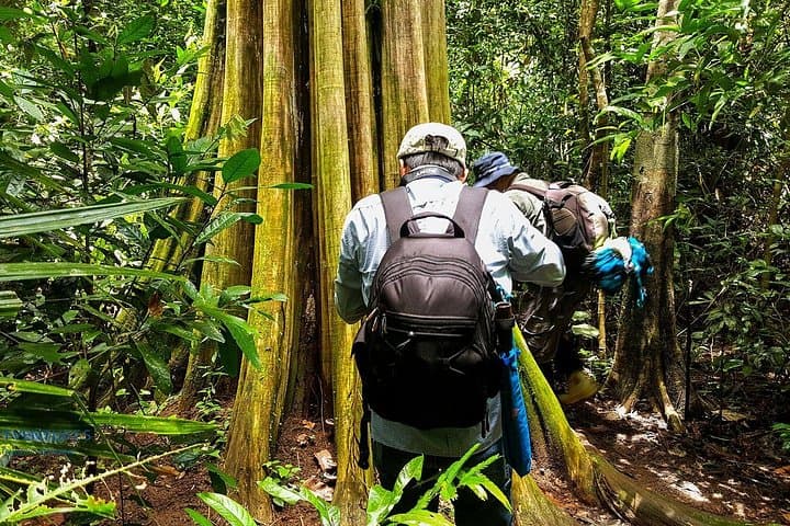 Nam Cat Tien National Park 2-Day Wildlife & Night Safari from Ho Chi Minh City